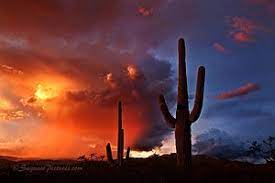 Jun 15, 2021 · landscape & work from the civil war & american west by carleton watkins, matthew brady, edward curtis, ansel adams, eliot porter, laura gilpin & wright morris. Private Workshops Saguaro Pictures