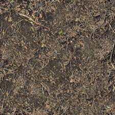 Tags #floor, #forest, #sand, #soil. Forest Floor Terrain 0030 Texturemax