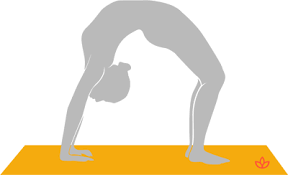 What Is Chakrasana Definition From Yogapedia
