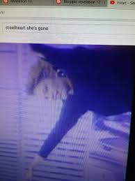 Image result for I am Sarah Connor Revelation 12