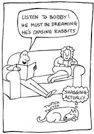 Dreaming Dog Quotes Funny Funny Animal Clips Funny Cartoon Pictures