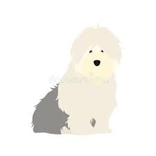 Old English Sheepdog Cartoon Stock Illustrations 48 Old English Sheepdog Cartoon Stock Illustrations Vectors Clipart Dreamstime ✓ free for commercial use ✓ high quality images. old english sheepdog cartoon stock