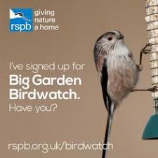 The rspb big garden birdwatch 2021 will take place over three days from the 29th to the 31st january. 400 Biggardenbirdwatch Ideas Big Garden Birdwatch Garden Tags Big Garden