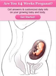 Pin On Lifestyles Procreation Pregnancy