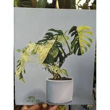 Gambar lukisan tumbuhan bunga contoh gambar lukisan gambar terkait bunga bunga alam musim panas tanaman musim semi 231 751 gambar gambar gratis dari bunga 2228 1927 390 musim semi. Lukisan Tanaman Shopee Indonesia