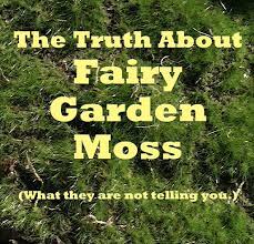 Then place small pieces of sheet moss at regular intervals over the area. Fairy Garden Moss What They Won T Tell You But I Will The Mini Garden Guru