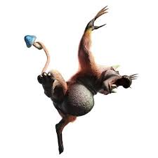 Image result for Hunteria congolana