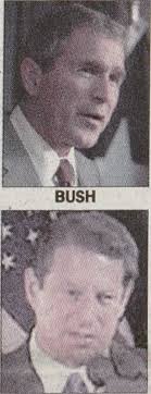 Bat bites girl in Evans Library