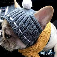 Share If You Find It Cute Https Bulldogsplanet Com Bulldogsplanet Frenchies Frenchbulldogs Bulldog Dog Beanie Puppy Hats French Bulldog Full Grown