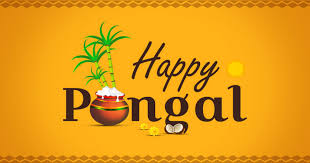 What they say about canva Happy Pongal Wishes Images And Photos Collection 2021 List Bark