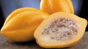 Image result for Carica