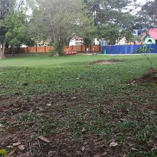 Things to do near sultan abdul aziz recreation park. Photos At Taman Rekreasi Sultan Abdul Aziz Park In Ipoh Perak