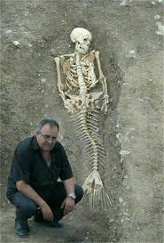 Maybe you would like to learn more about one of these? Mermaid Putri Duyung Aneh Horor