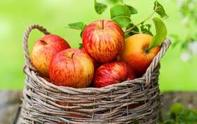 Sedikit busuk dibagian pangkal : Renungan Buah Apel Busuk Aweida Papua