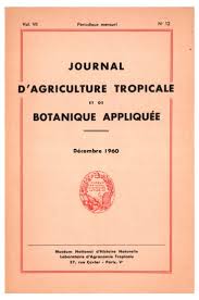 Image result for Calycosiphonia spathicalyx