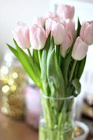 Hold Me Thrill Me Kiss Me Give Me Flowers Pretty Flowers Spring Flowers Flowers Bouquet