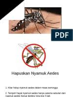 Kitaran nyamuk aedes latihan pengayaan. Kitar Nyamuk Aedes