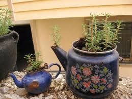 Eğer hazırsanız, plastik şişelerden yapılacak el yapımı çalışma seçenekleri ile sizi plastikten yapılan el yapımı avizeler. Eski Caydanliktan Saksi Yapimi Yapim Sitesi Nasil Yapilir Kendimiz Yapalim Hobi Tasarim