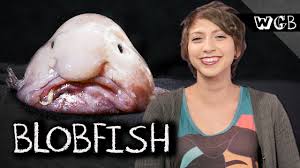 It can be found only in australia. The Blob Fish Sings By Dan Dauz