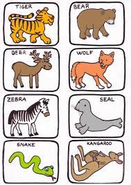 Pin En Imagenes Animales Domesticos