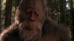 Sad Sasquatch Meme Generator Imgflip