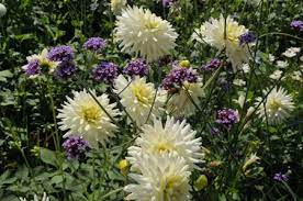 September beginnt der meteorologische herbst. Arbeiten Im September Bio Garten Tipps Und Tricks