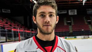 Binghamton Senators 2013-14 season statistics