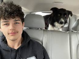 Does anyone recognize this lost dog in Spokane?