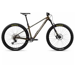 Image result for Orbea knobelii