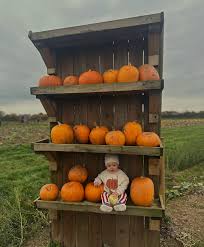 Image result for tbn:0PJB32OL7JwfOM::farm4.static.flickr.com/3324/3329876139_f2d551139f.jpg