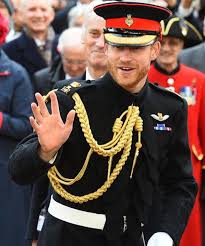 Pin By Gundi L On The Sussexs Prince Harry And Megan Prince Harry Duke And Duchess