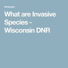 What Are Invasive Species Wisconsin Dnr Teaching