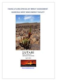 Image result for Plinthus cryptocarpus