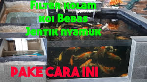 Soslusi Mengatasi Nyamuk Di Filter Chamber Kolam Koi Youtube