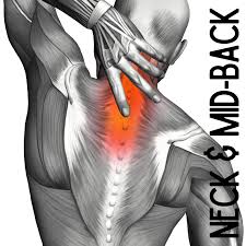 Neck pain anatomy will help you grasp some of the complexities of the cervical spine; Neck And Mid Back Pain Chiropractor In Norwalk Ct Advanced Health Professionals