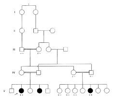 Mutations Of The P Gene In Oculocutaneous Albinism Ocular