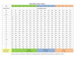 Body Mass Index Student Nurse Laura