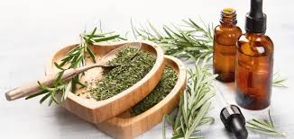 كما تشير الحمامة البيضاء إلى الاستقرار والتخلص من المشاكل الكبيرة. Ù…ÙŠÙ† Ø§Ø³ØªØ®Ø¯Ù…Øª Ø±Ø¬Ù„ Ø§Ù„Ø§Ø³Ø¯ ÙˆØ­Ù…Ù„Øª Ù…ÙˆØ³ÙˆØ¹Ø© Ø¥Ù‚Ø±Ø£ Ù…ÙŠÙ† Ø§Ø³ØªØ®Ø¯Ù…Øª Ø±Ø¬Ù„ Ø§Ù„Ø§Ø³Ø¯ ÙˆØ­Ù…Ù„Øª