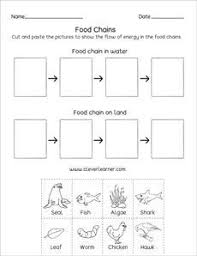 Food Chains Human Life Science In 2020 Food Chain Worksheet Science Food Chains Food Chain