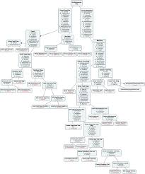 Dichotomous Key Jgoo Dichotomous Key Microbiology Lab Microbiology Study