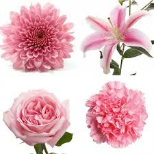 Maybe you would like to learn more about one of these? Traditional Mother S Day Flowers