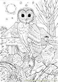 The soft plumage and the teeth they have in the feathers let the air flow freely and, by the lack of impact, reduces the noise of the beating of. Pin On Adult Coloring