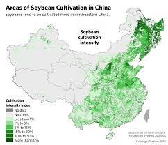 Propelled By U S Trade Talks China Charts A Course To