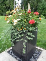 Really Like The Container On The Stones Larsen 8 9 11 14 Landscaping With Rocks Container Plants Container Gardening