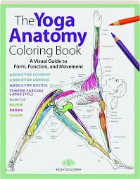April 24, 2018 admin anatomy. Best Of The Yoga Anatomy Coloring Book Sugar And Spice