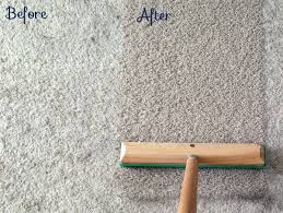 All of these methods purport to loosen pet hair from the carpet fibers. My Secret Weapon That Picks Up More Dog Hair School Of Decorating
