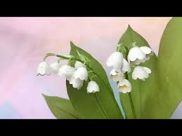 Get excited about springtime and sunshine when you're creating with the lily of the valley etched die set from susan's spring flora collection by spellbinders. Abc Tv How To Make Lily Of The Valley Flower Paper Quilling Craft Tutorial Youtube