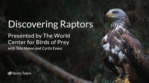 We did not find results for: Varsity Tutors Starcourse Discovering Raptors With The World Center For Birds Of Prey Youtube