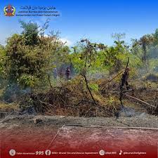 Operasi pemadaman kebakaran Hutan ...