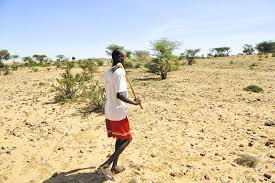 Includes country demographics, geography, government, economy, telecommunications, transportation, military, and transnational issues. Der Ex Bp Chef Und Seine Gefahrliche Olmission In Somalia Wsj